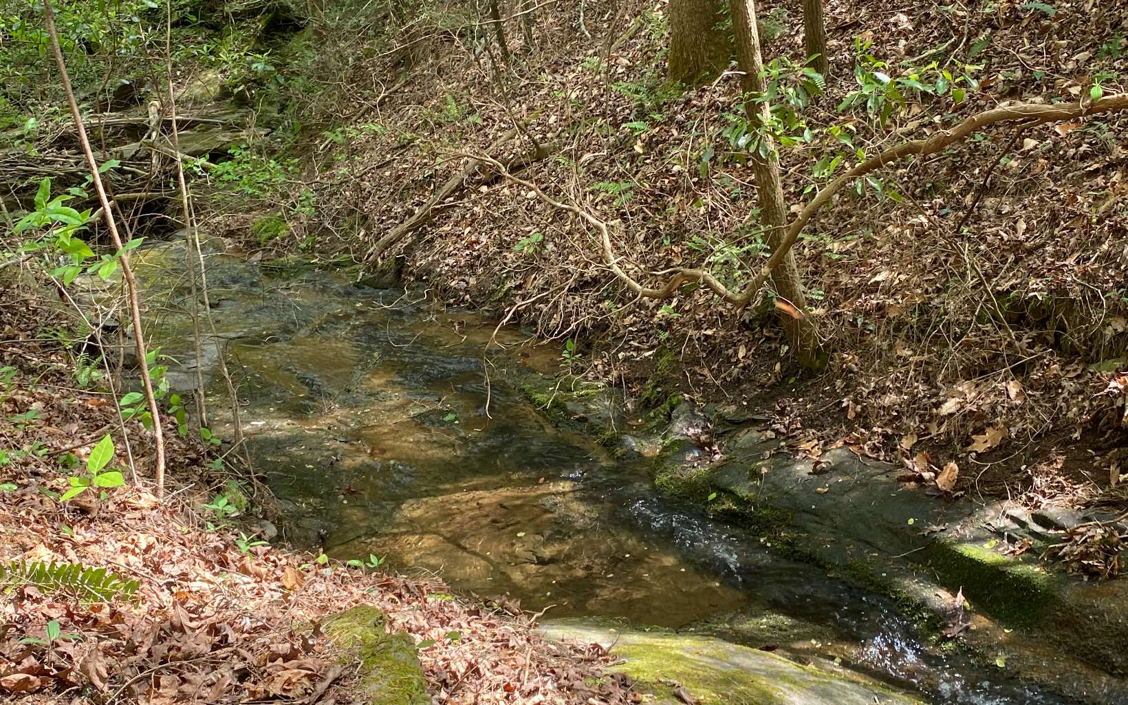 1.89 Mountain Creek Hollow Drive