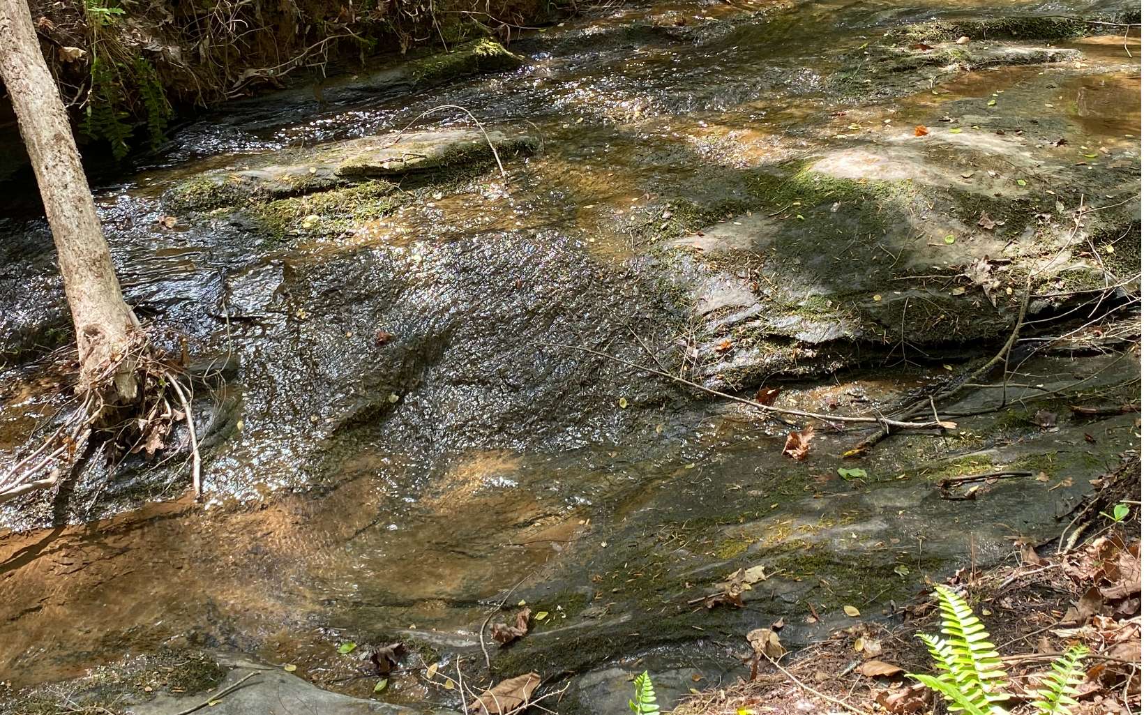 1.89 Mountain Creek Hollow Drive