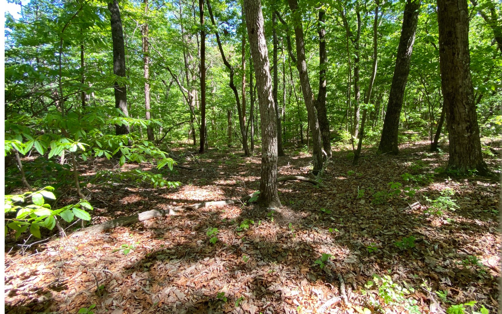 LT 35 Clear Creek Acres