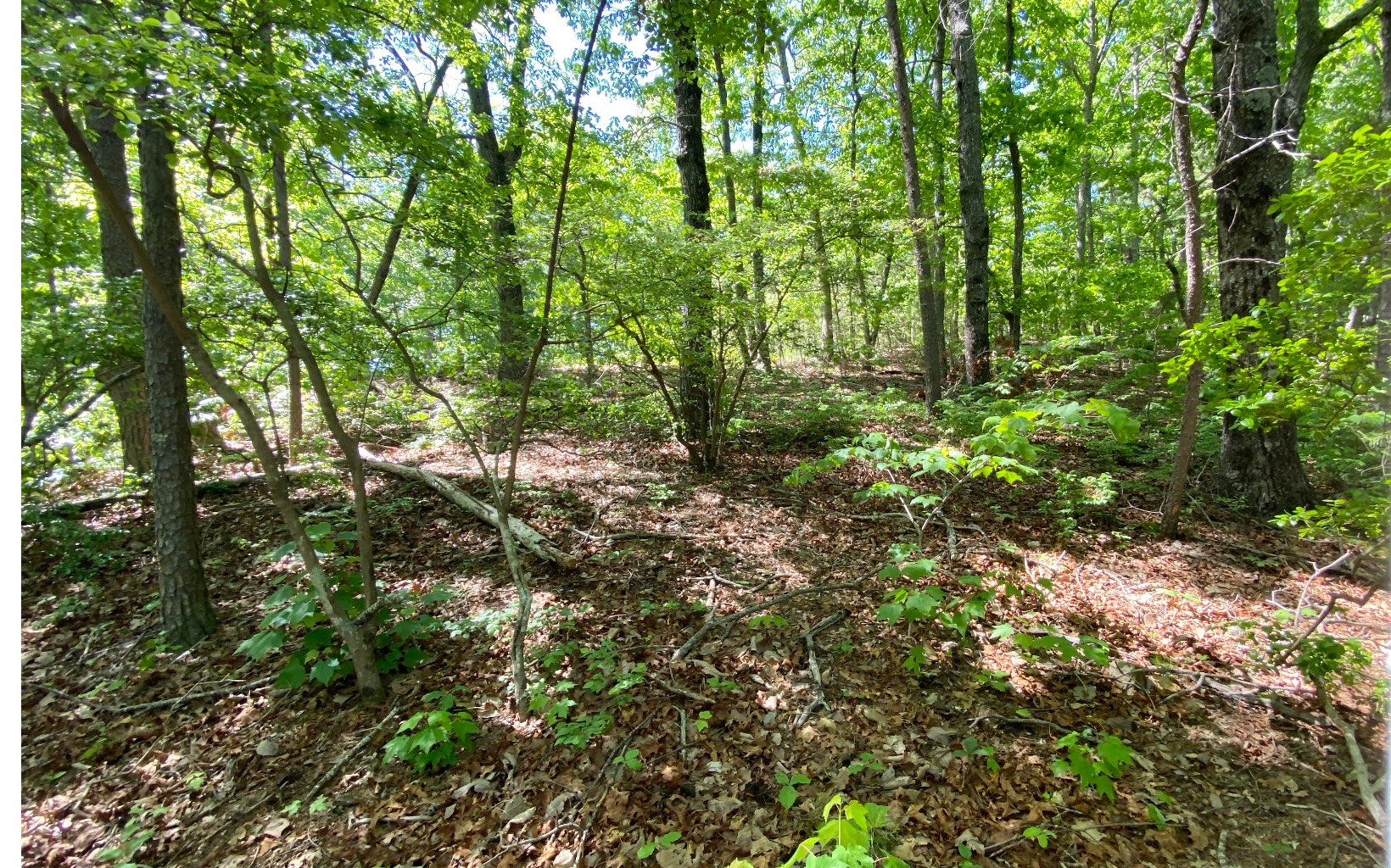 LT 35 Clear Creek Acres