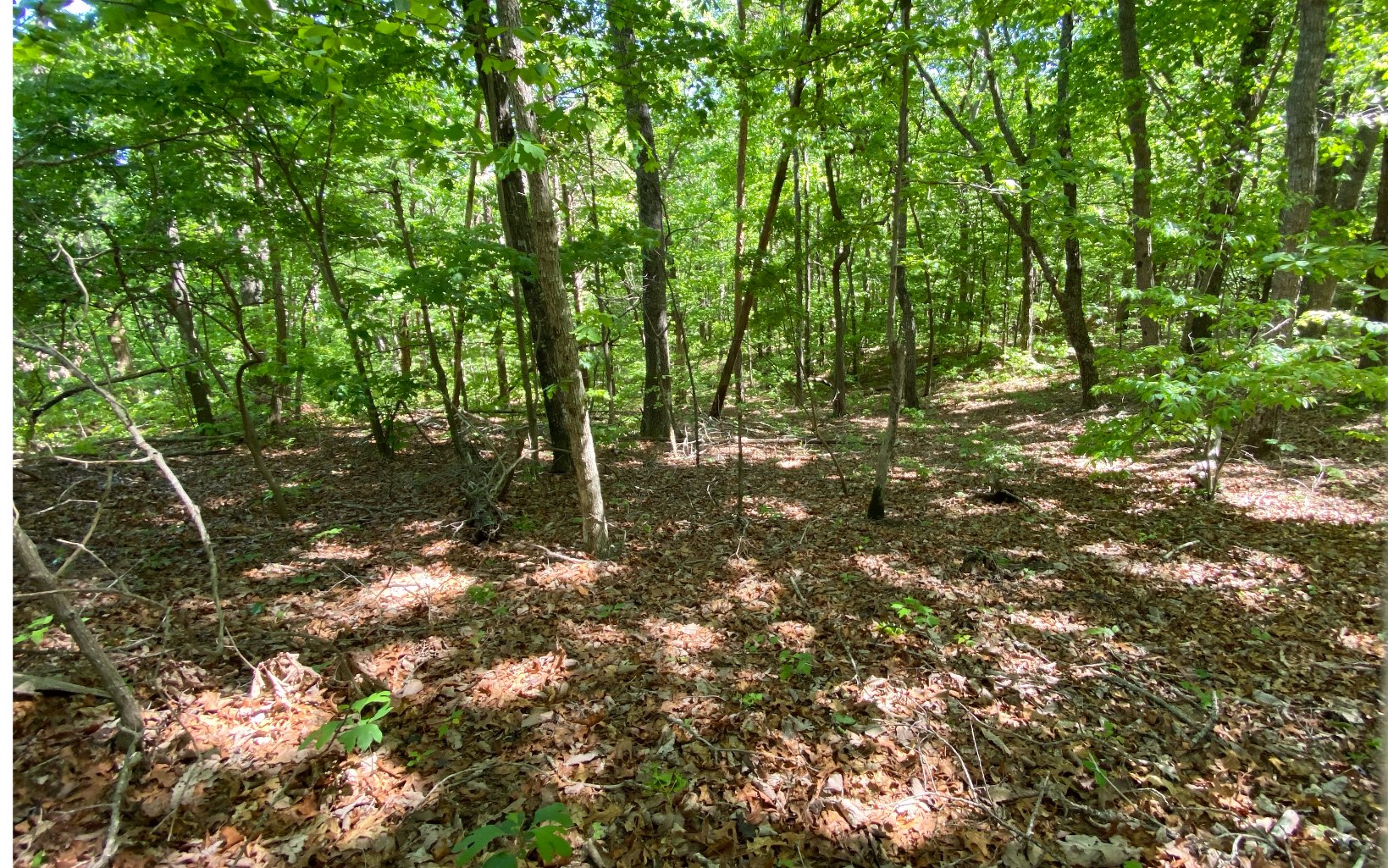 LT 35 Clear Creek Acres