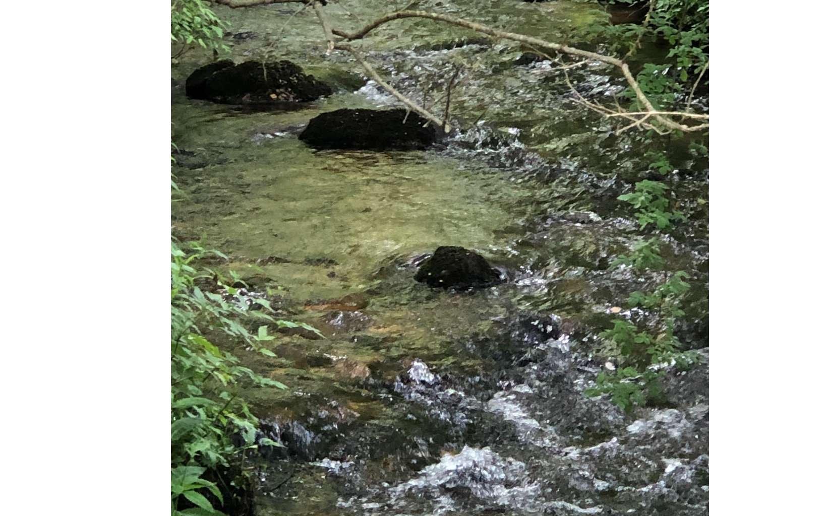 259 Buck Creek Trail