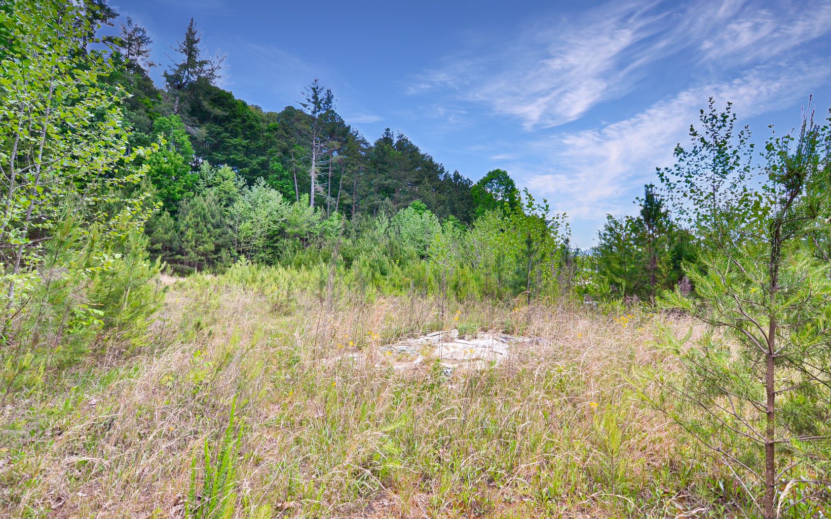 Tails Creek Road