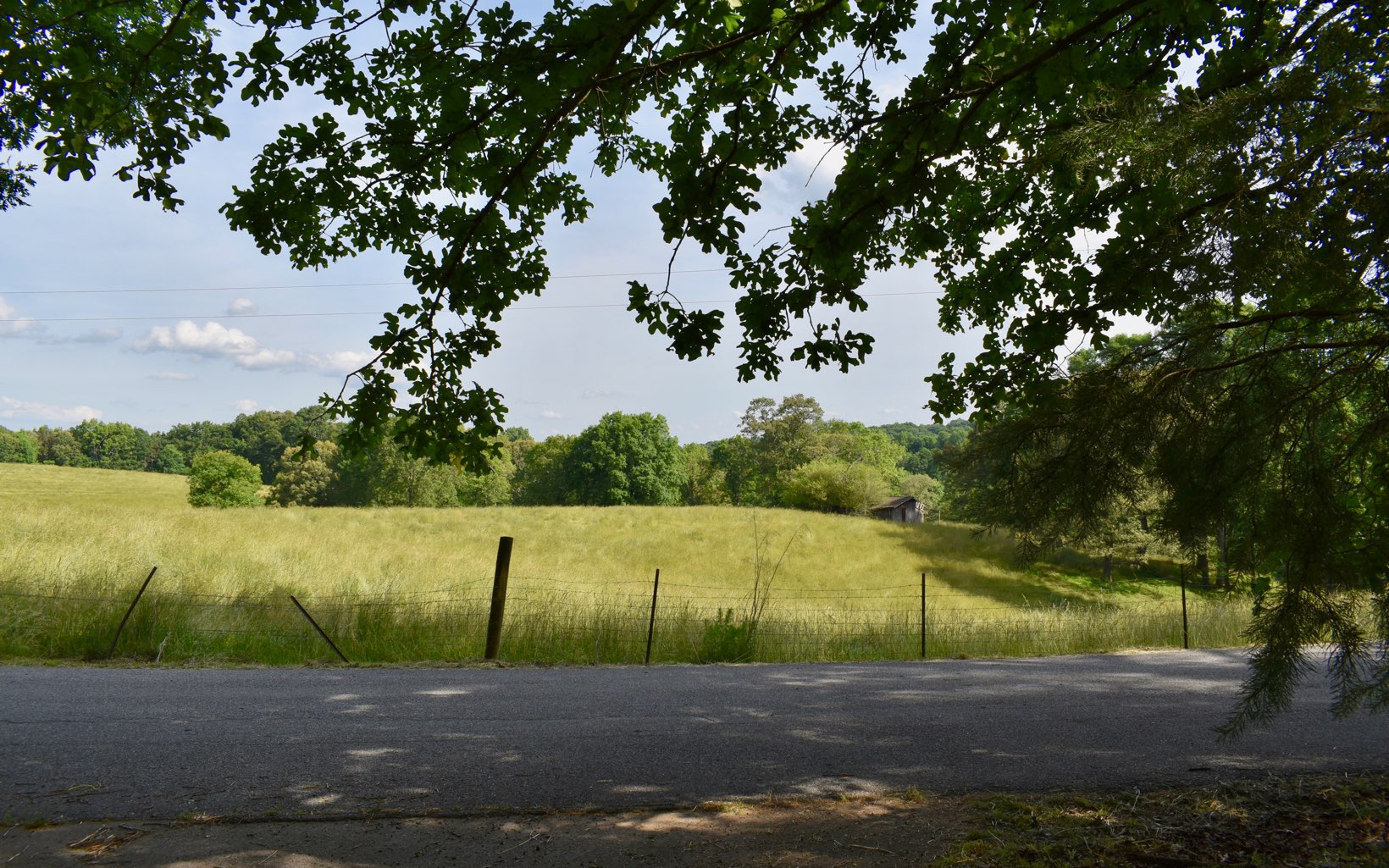 1621 Weeks Road