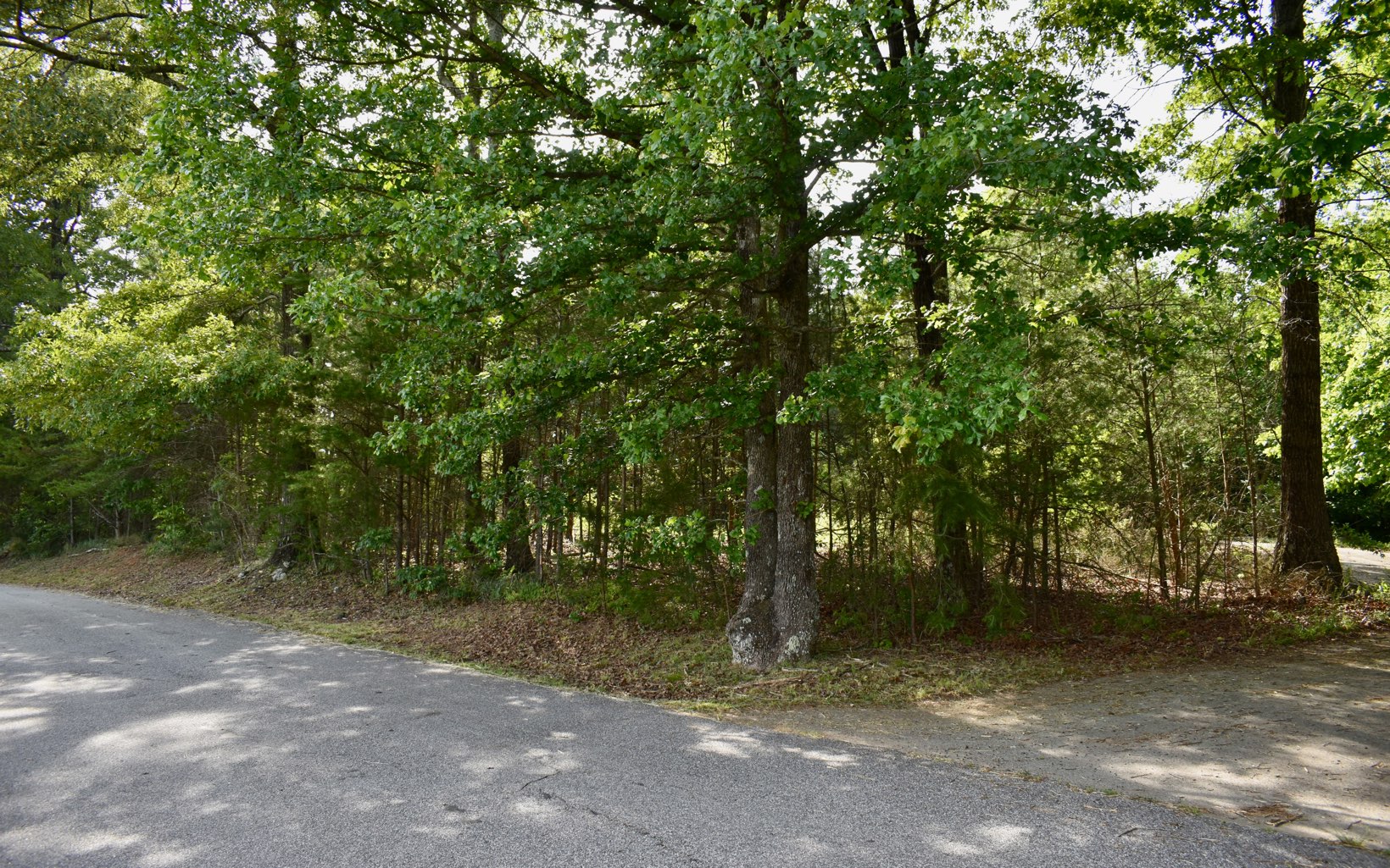 1621 Weeks Road