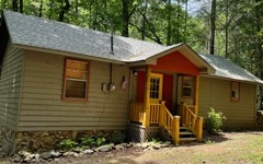 0 Cohutta Forest