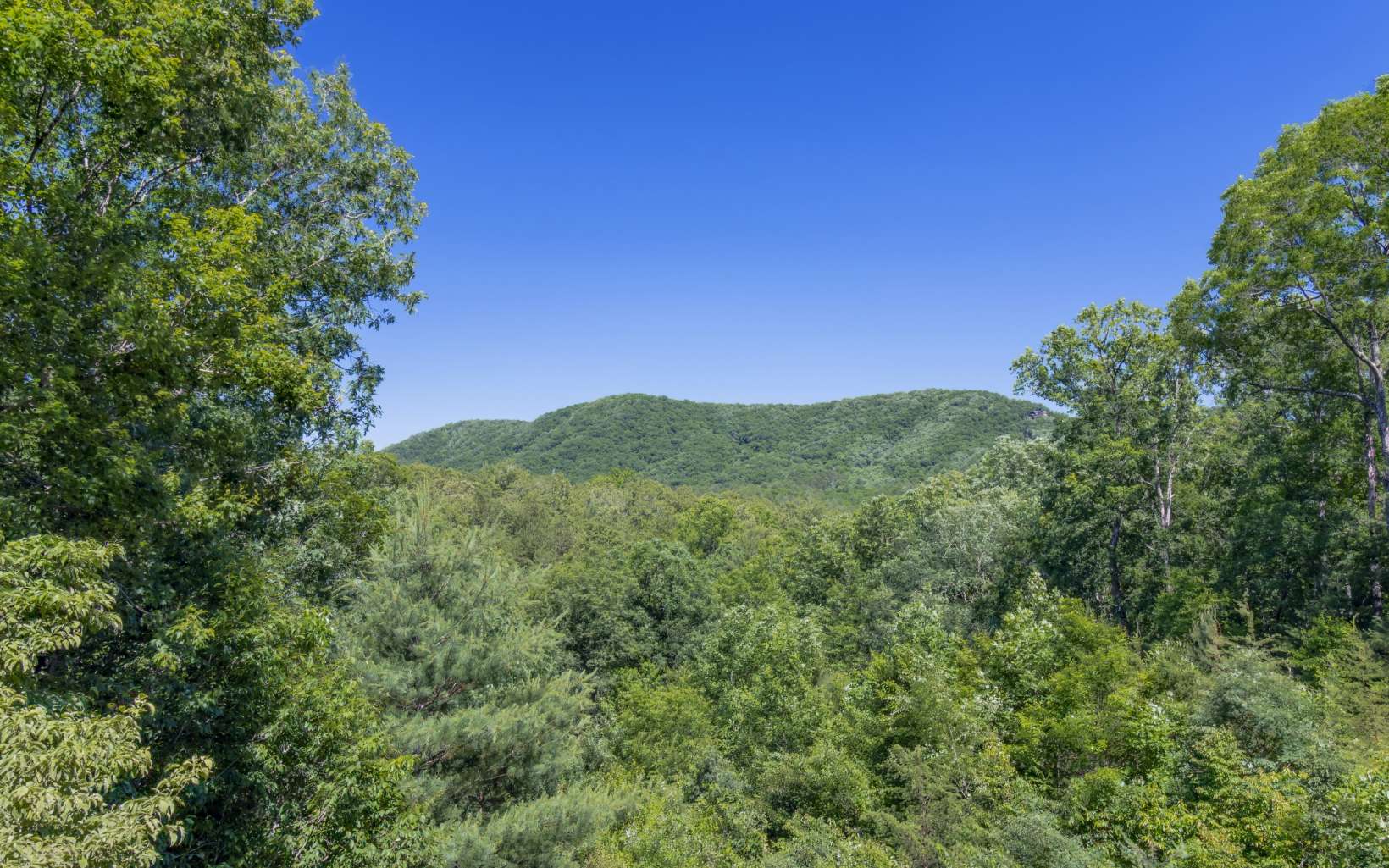 1023 Knollwood Road