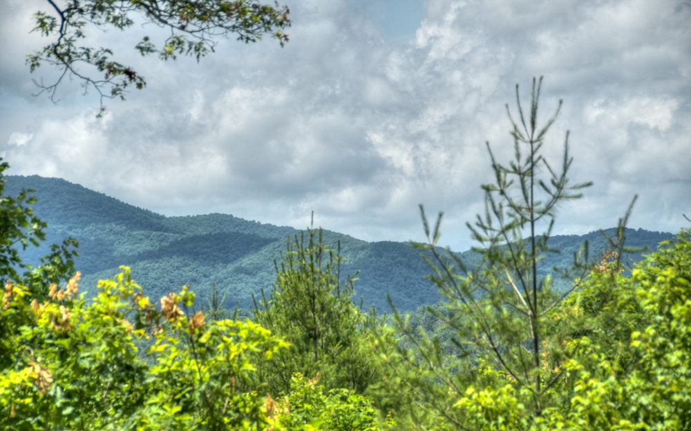89 Parks Mountain Road