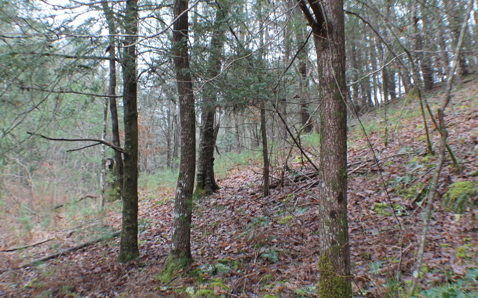 4.9AC Cutcane Road