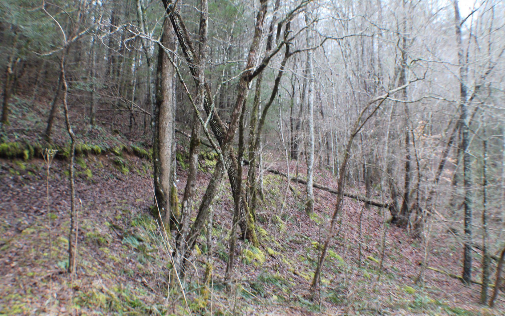 4.9AC Cutcane Road