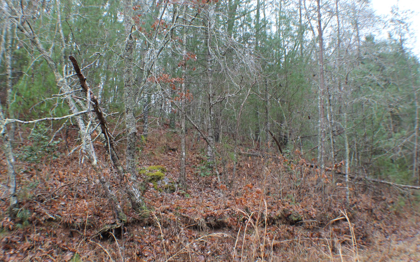 4.9AC Cutcane Road