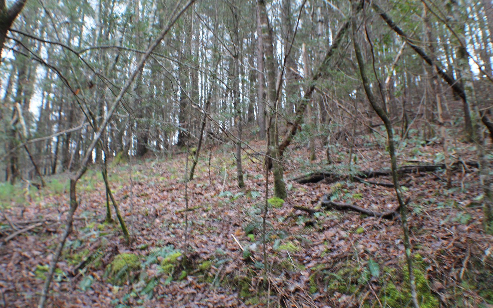 4.9AC Cutcane Road
