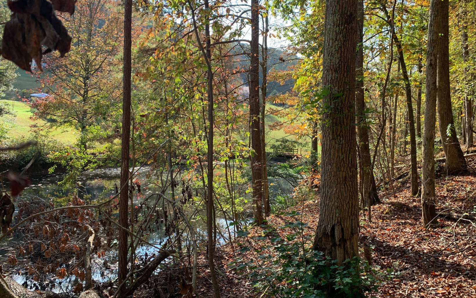 LT 4 Talona Lake Lane