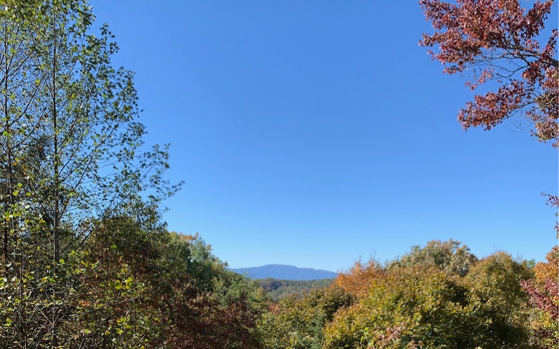 1550 My Mountain Road
