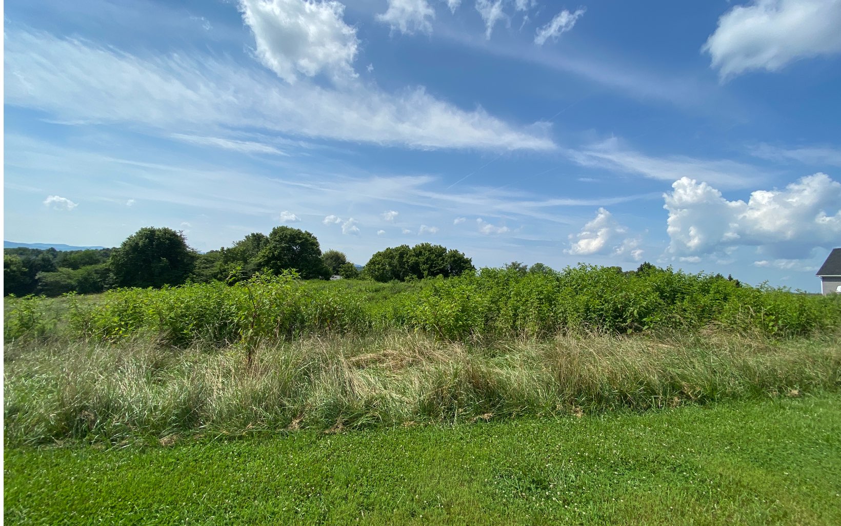 LOT 3 Ridgemont Drive