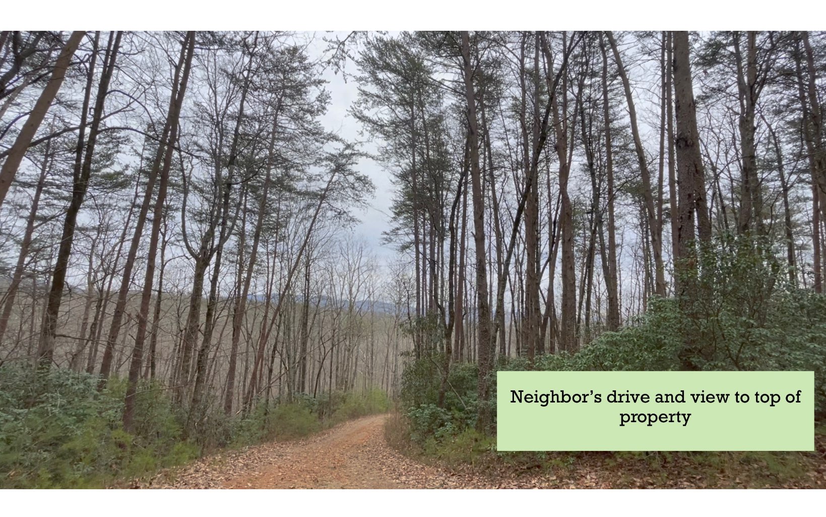 7.41 Ralston Creek Trail