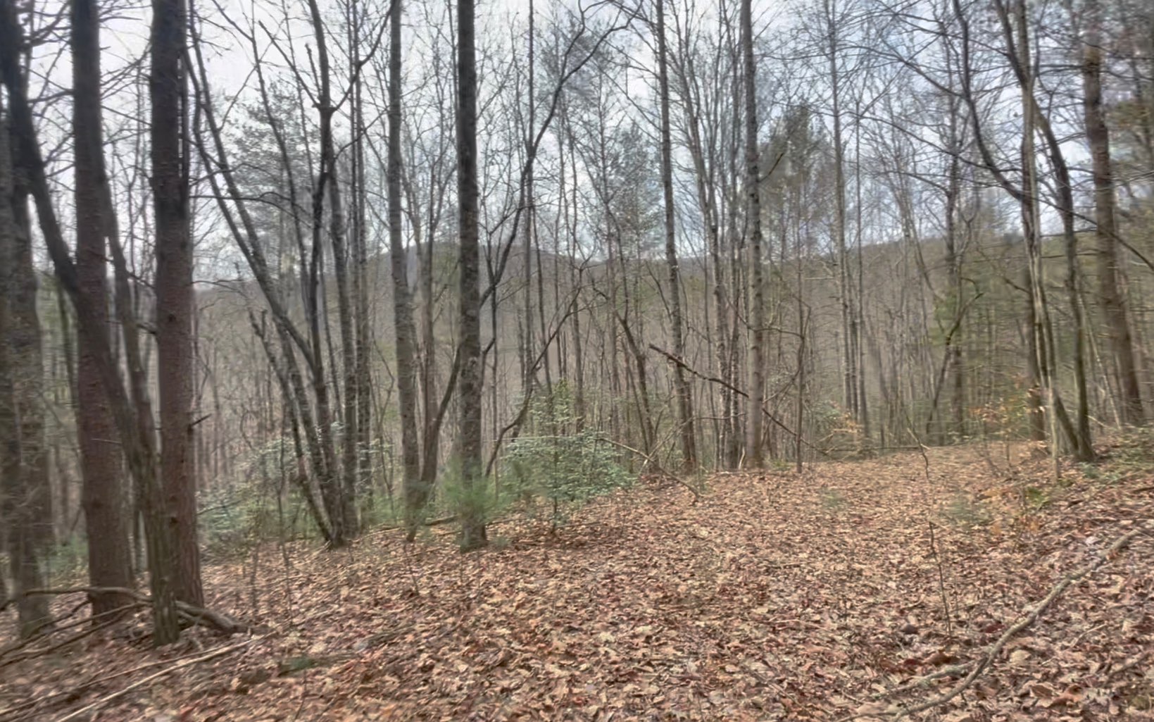 7.41 Ralston Creek Trail