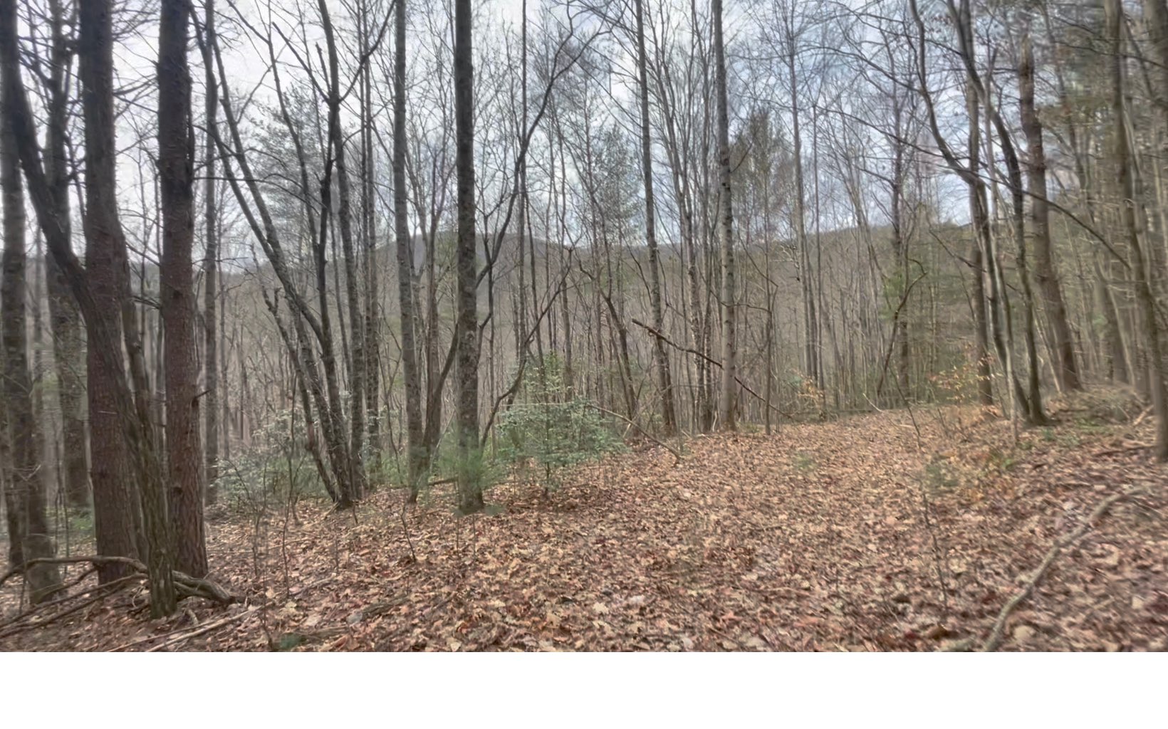 7.41 Ralston Creek Trail