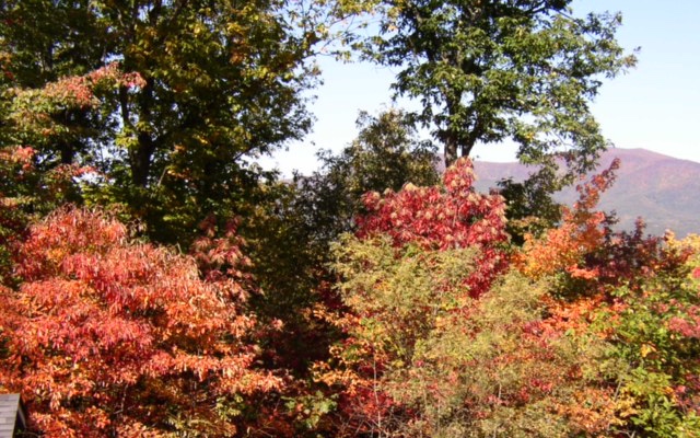 Mollie Mountain Trail