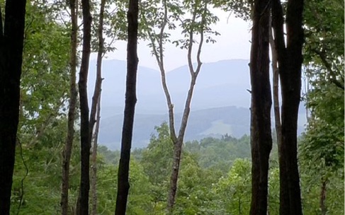 Mollie Mountain Trail