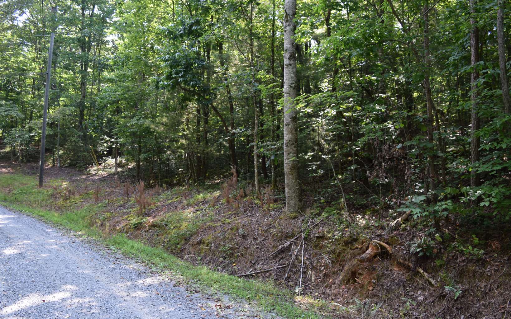 L1573 Orbit Lane