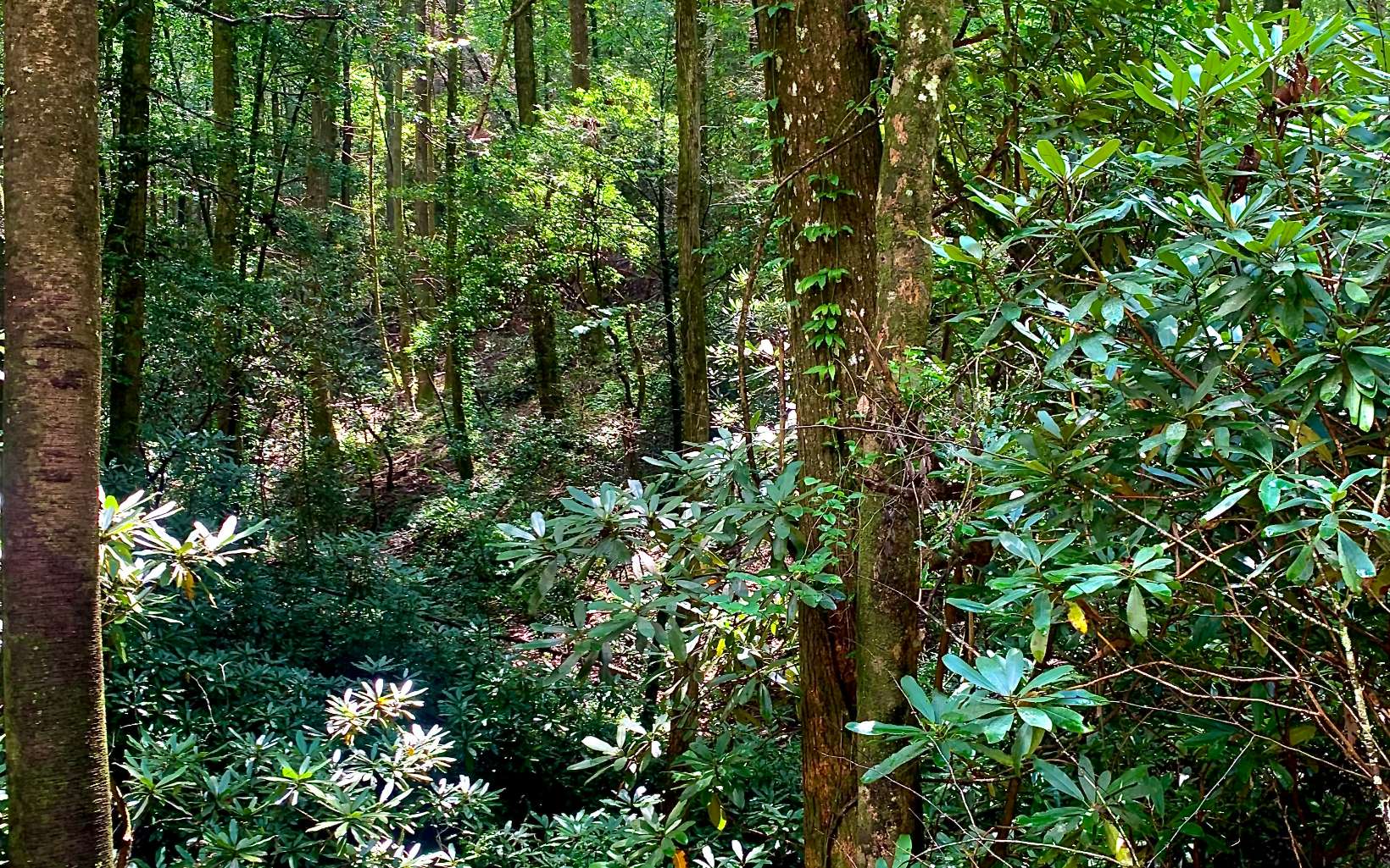 9.06A Stillhouse Creek Drive