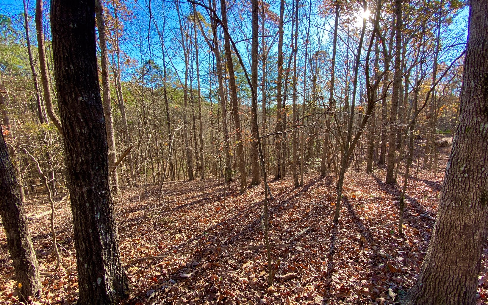 LT10 Country Hills Road