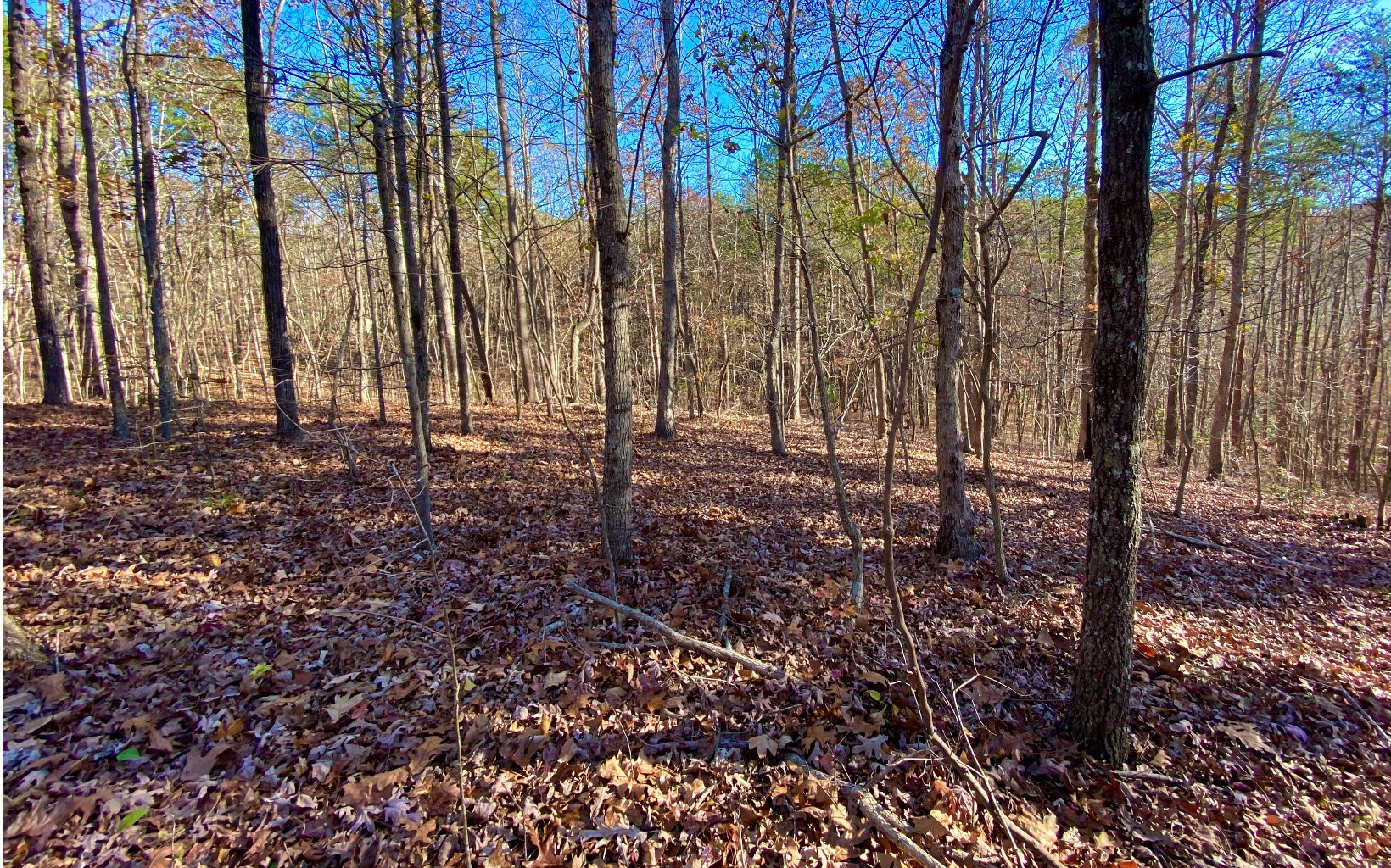 LT10 Country Hills Road