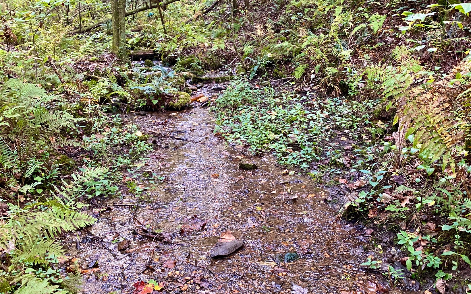 12/13 Otahki Trail