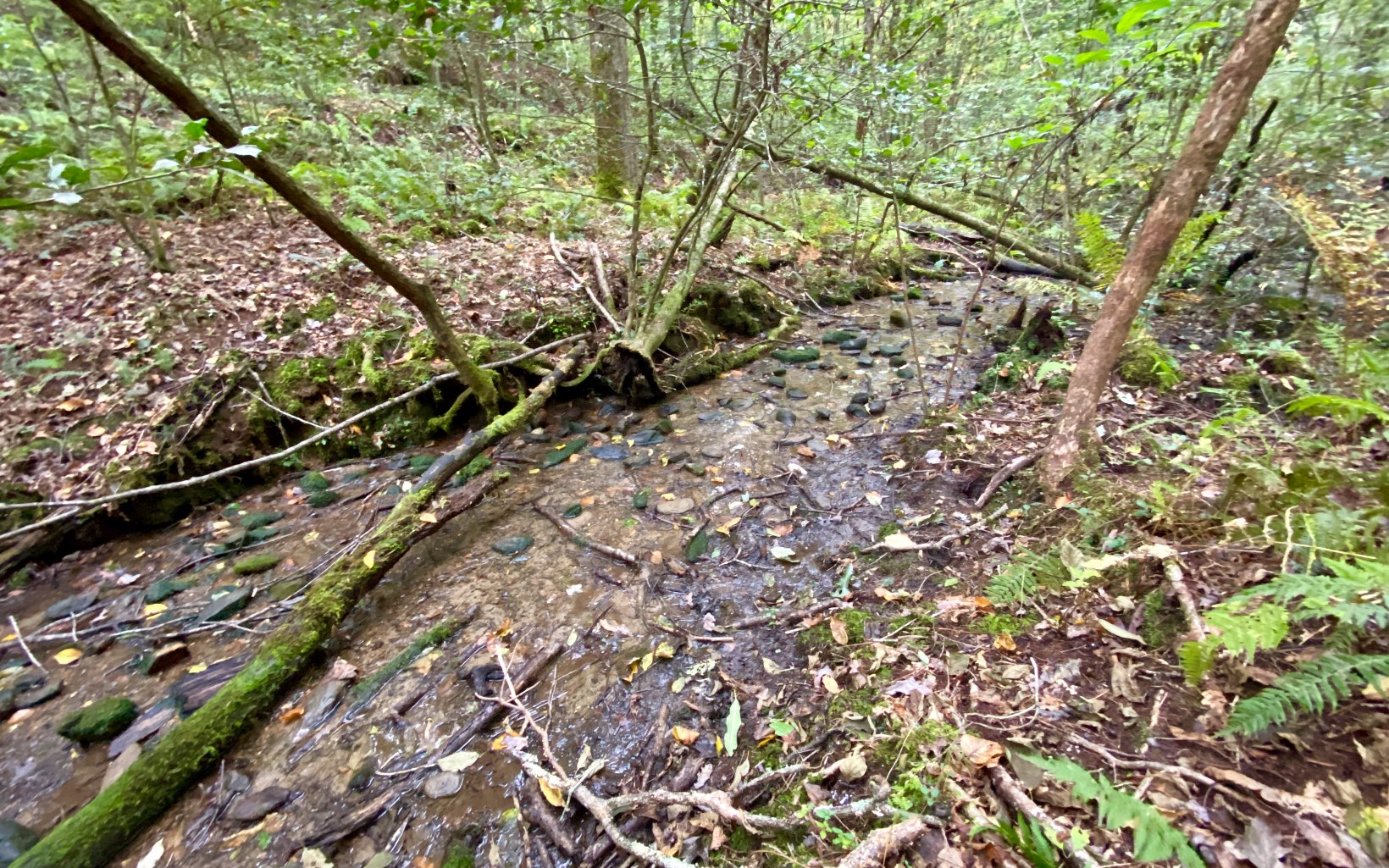 12/13 Otahki Trail