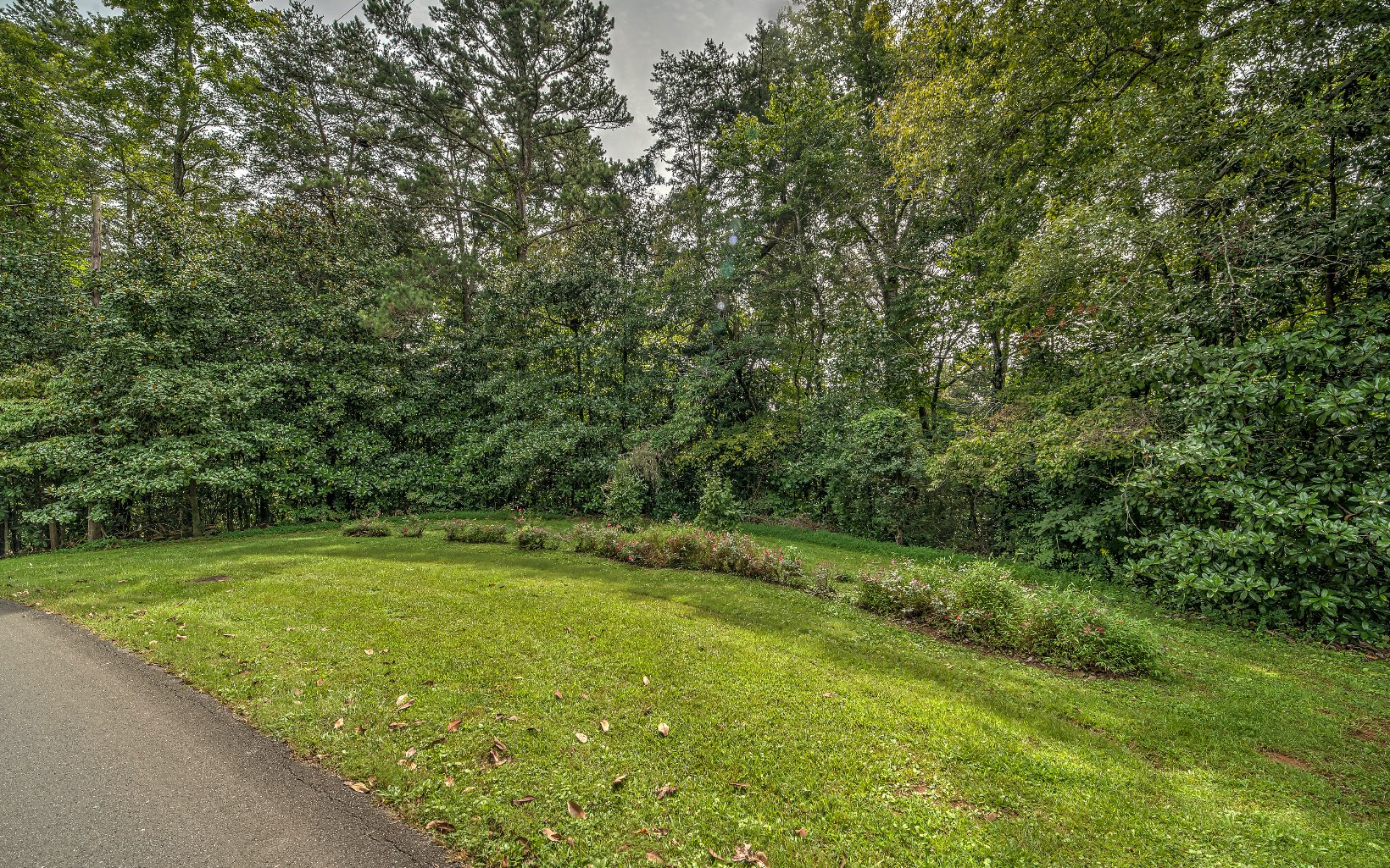 Lucille Avenue