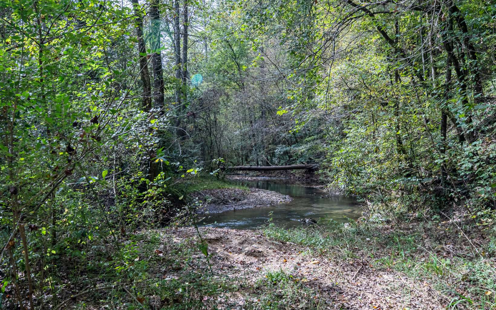 397 Conasauga Road