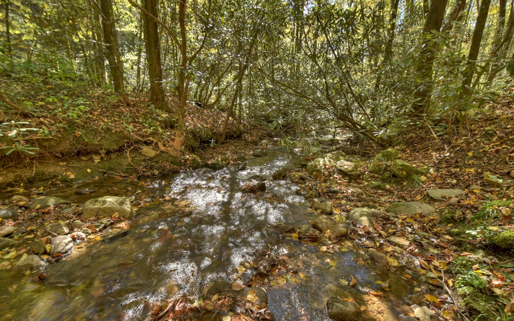 11937 Old Ccc Camp Road