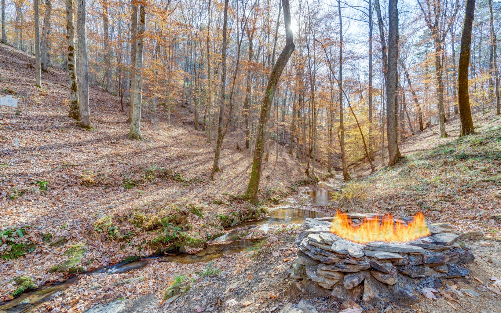 276 Monticello Road