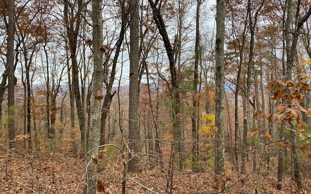 LT171 Doll Mountain Road