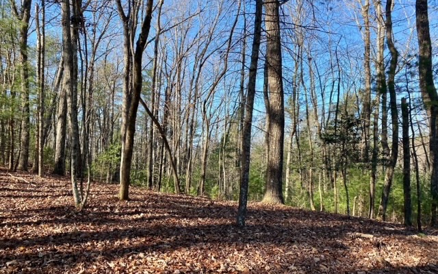 LT 10 Mountain Springs Road
