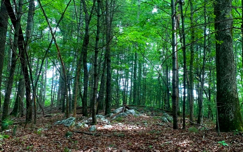 LT 14 Echota Falls Drive