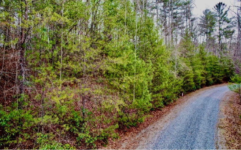 LT 14 Echota Falls Drive