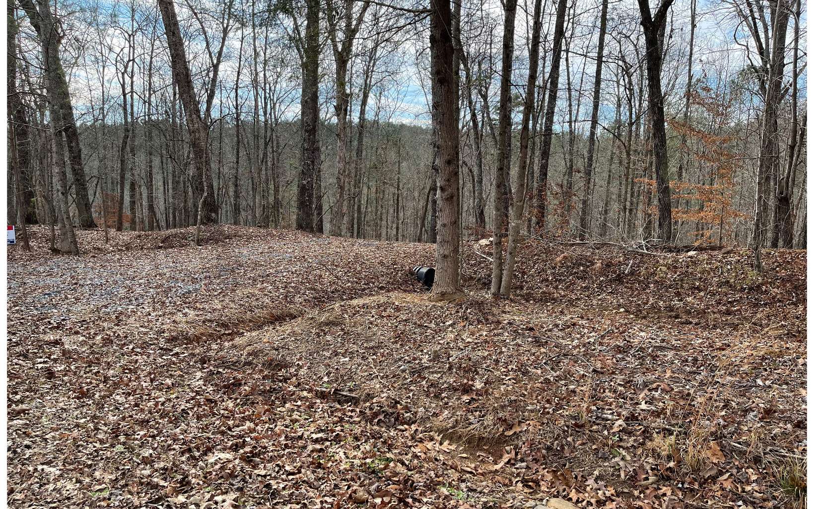 363 Old Post Trail