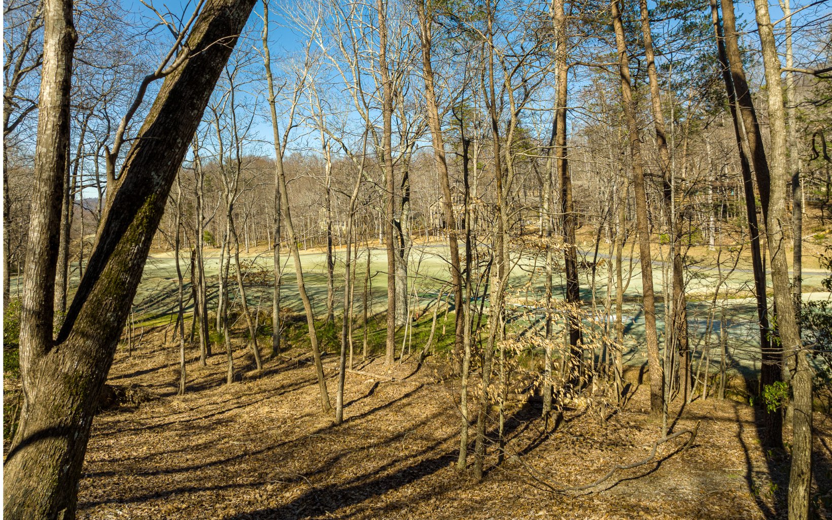 98 Mulligan Way