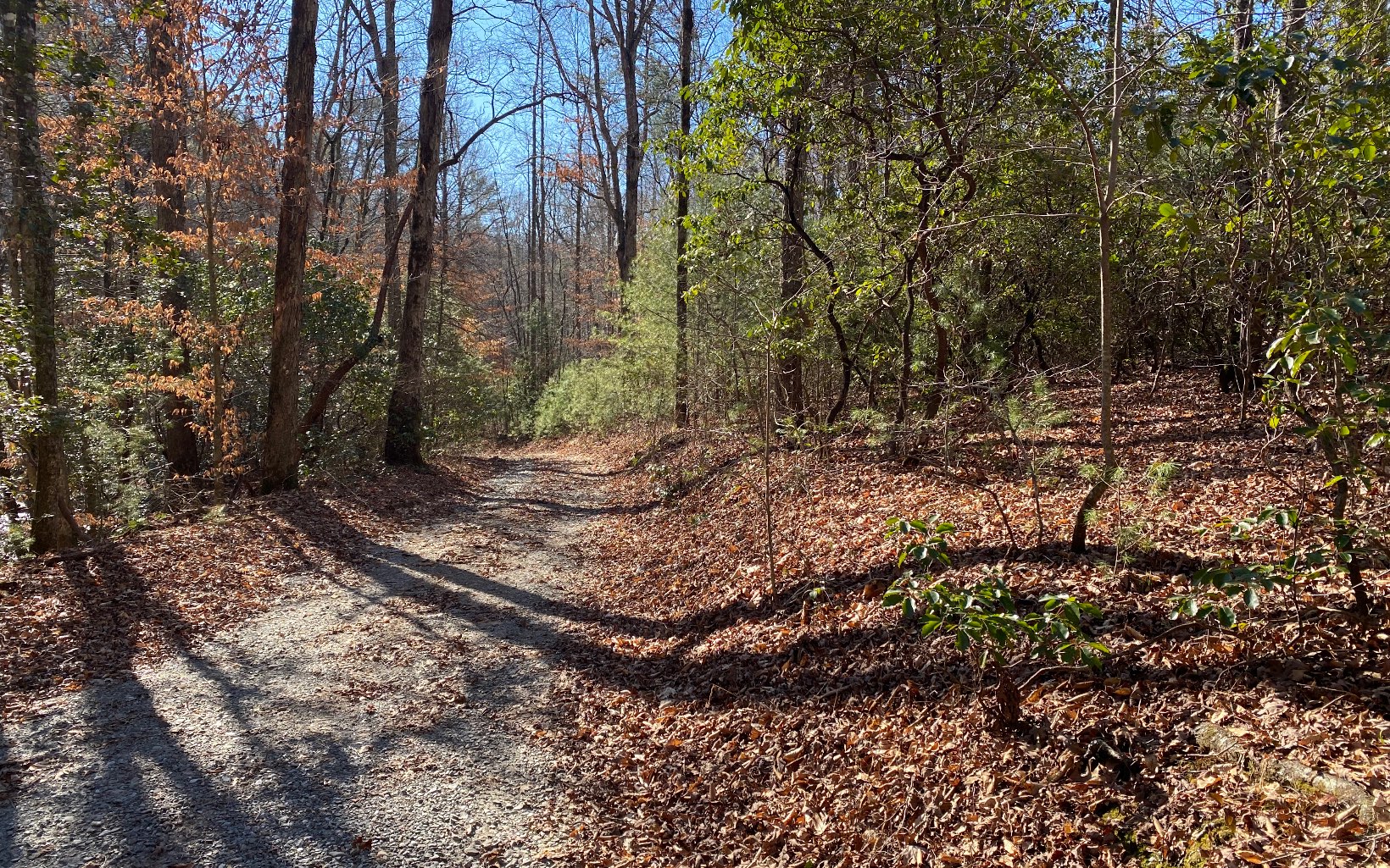 92 Oliver Creek Road