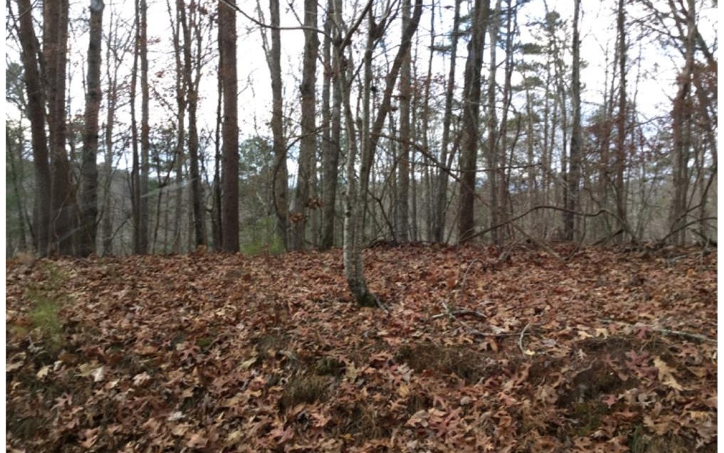 LT659 Forest Court