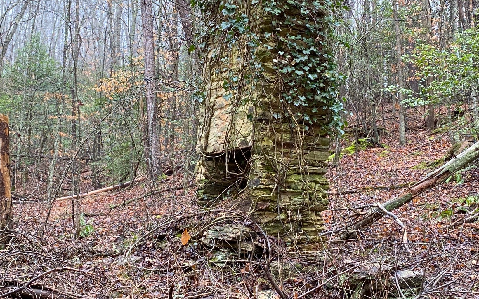 TR2 Wildwood Trail