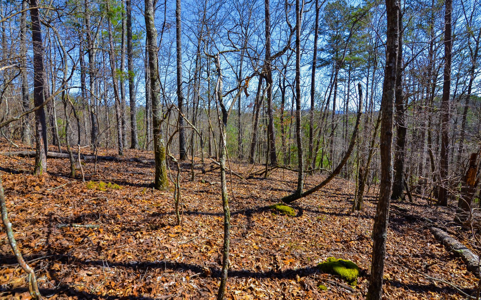 LT99 Mountain Creek Hollow Drive