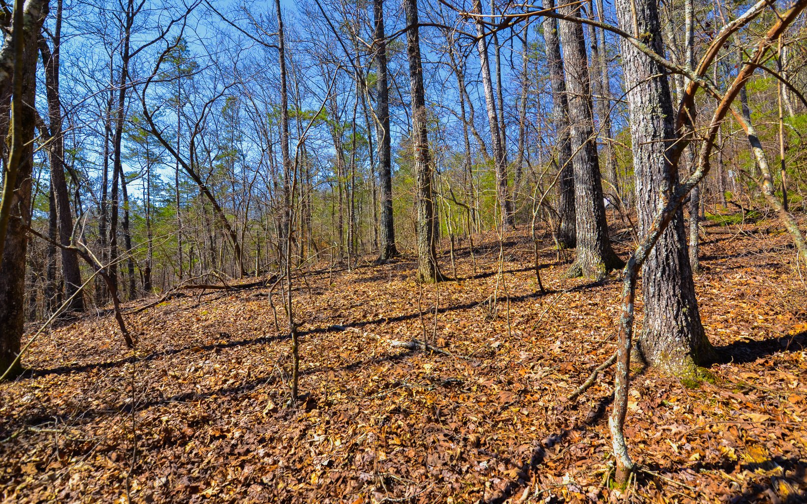LT99 Mountain Creek Hollow Drive