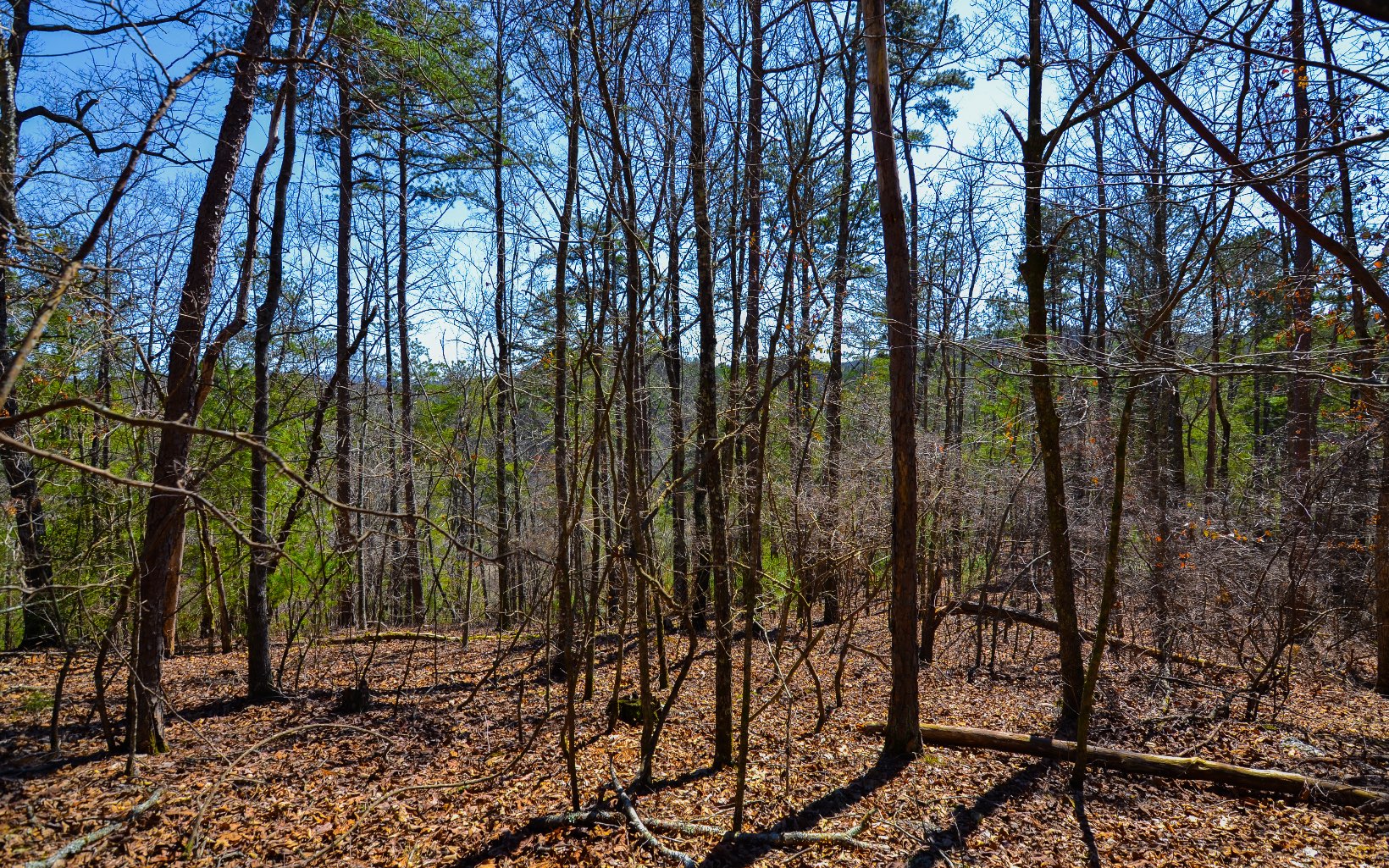LT99 Mountain Creek Hollow Drive