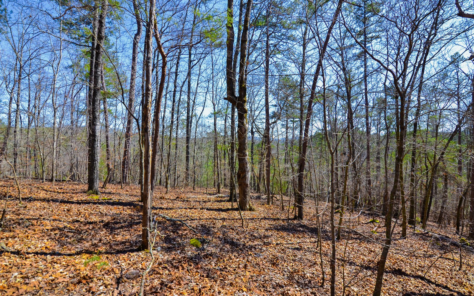 LT99 Mountain Creek Hollow Drive
