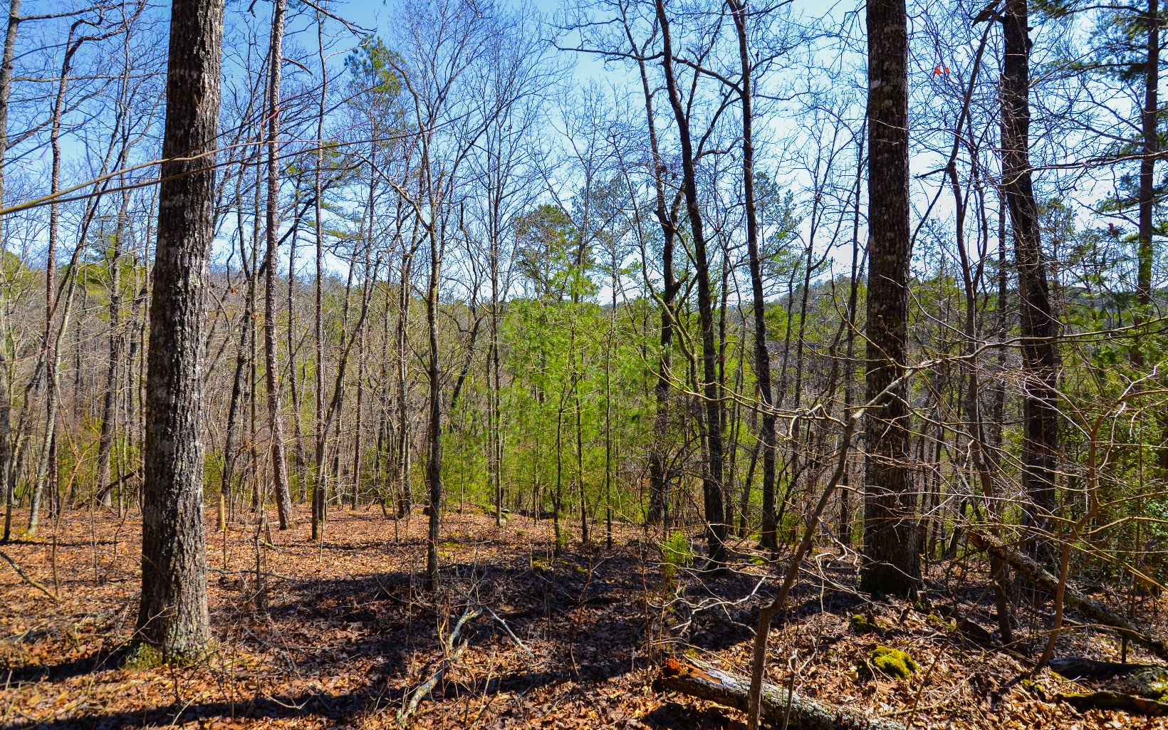 LT99 Mountain Creek Hollow Drive