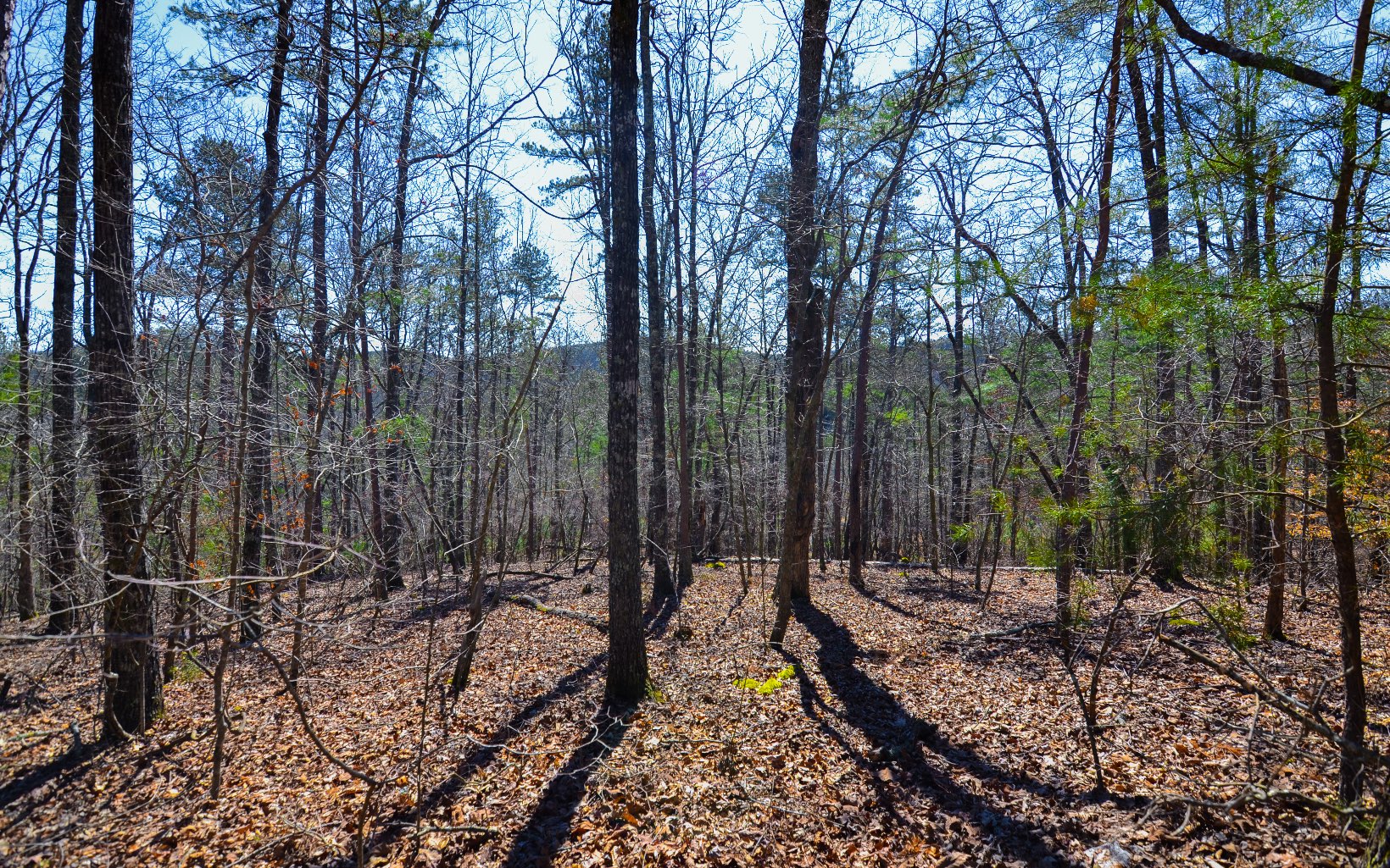 LT99 Mountain Creek Hollow Drive