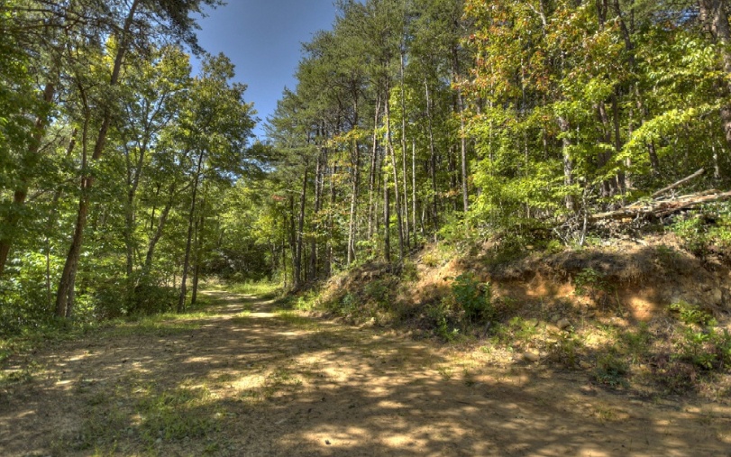 0 Mealer Road 40 Acres